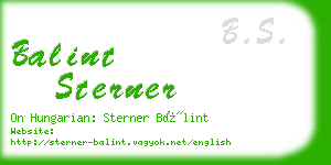 balint sterner business card